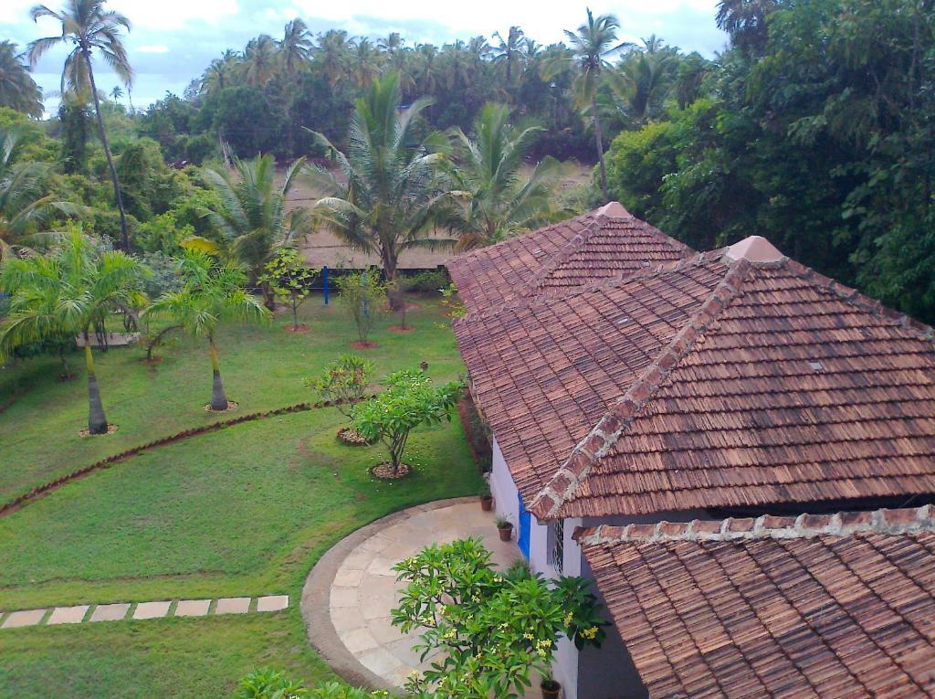Avalon Inn Mandrem Rom bilde
